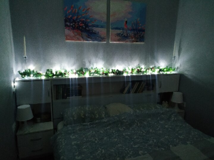 Любимый новый год))