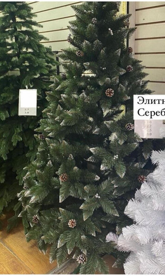 Какую бы выбрали?