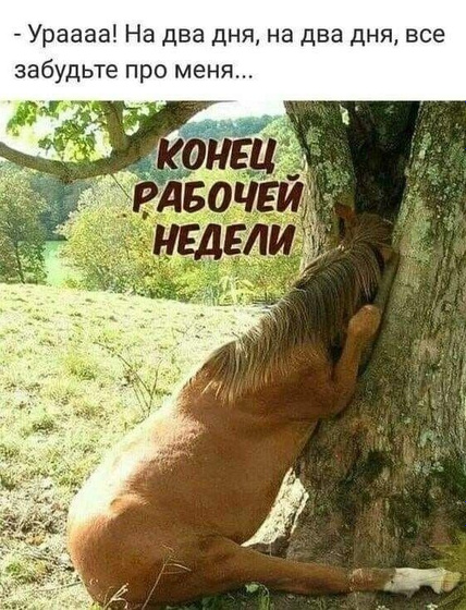 А кто вы в конце рабочей недели?