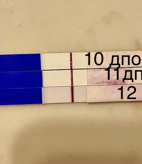 Только для тестоманок