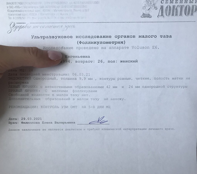 Фолликулометрия 24 дц