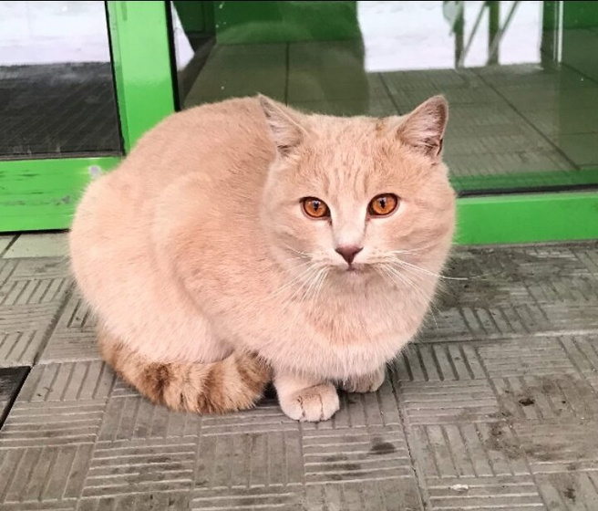 Всем привет, недавно завела
