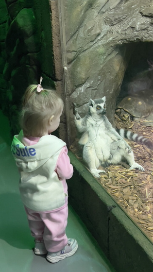 Ходили в океанариум.