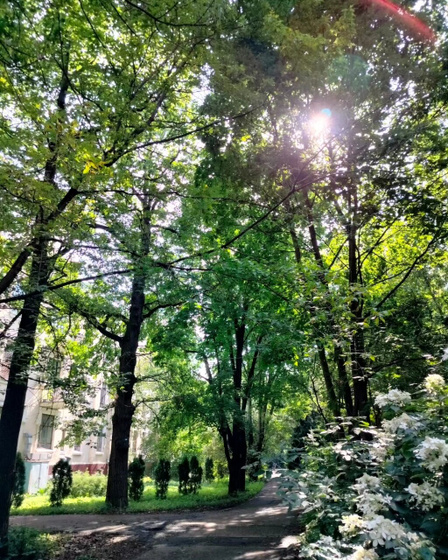 Наши дела.