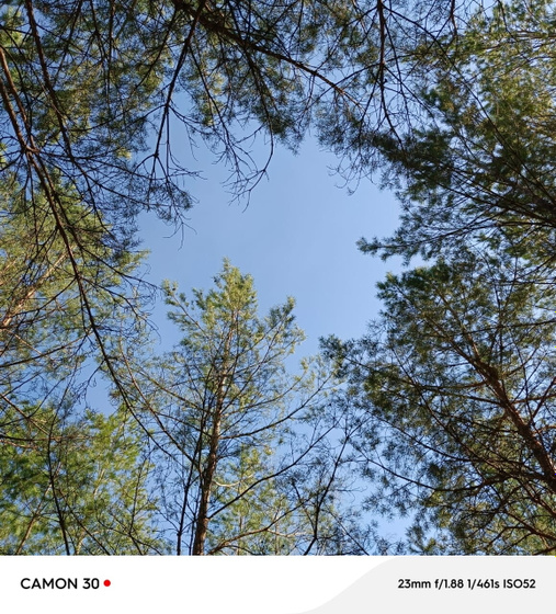Природа, красота
