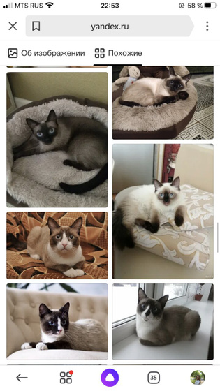 Как думаете?)