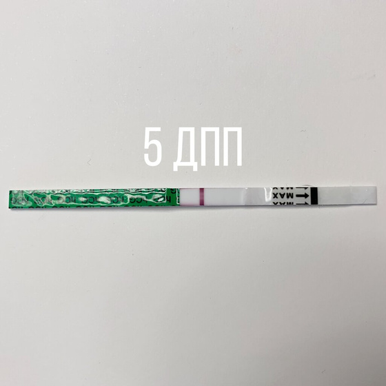 КРИО ❄️ 1 ДПП - 5 ДПП (ЧАСТЬ2)