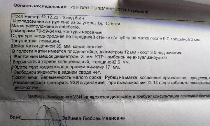 Узи 5.6 недель. Тонус.