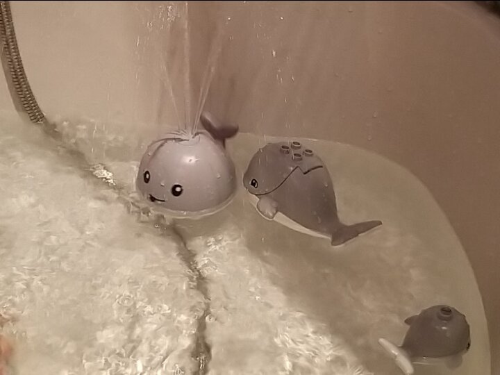 К нам приплыли киты