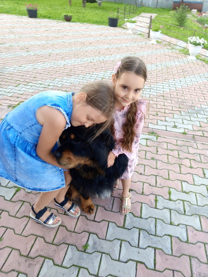Мои девочки