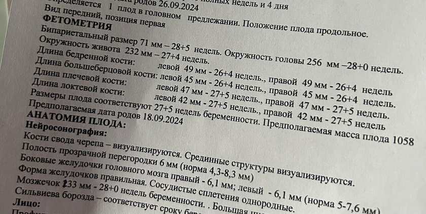 Фото узи/фетометрия