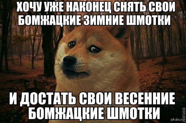 Фотография 2022-02-25 15:57:51