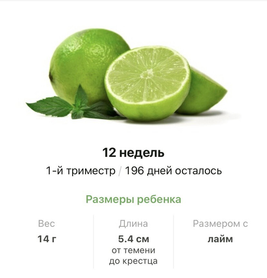 12 недель .