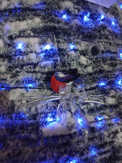 Рукавички