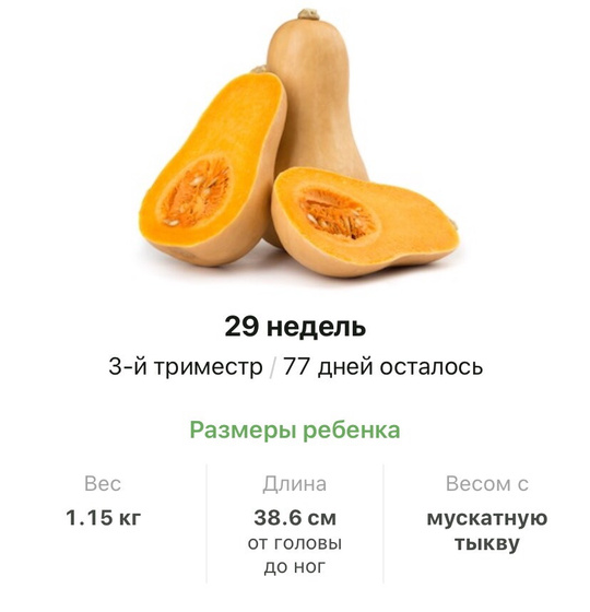 29 недель .