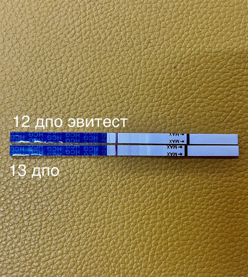 Хгч 12 дпо=13.3 (кдл)