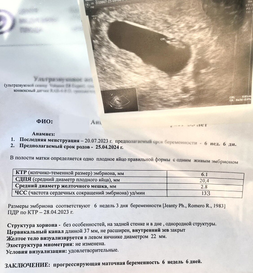 ❤️ узи 6.6 акушерских