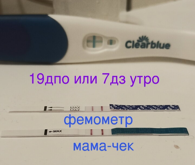 Сегодня 20дпо?Доброе утро??? Вчера