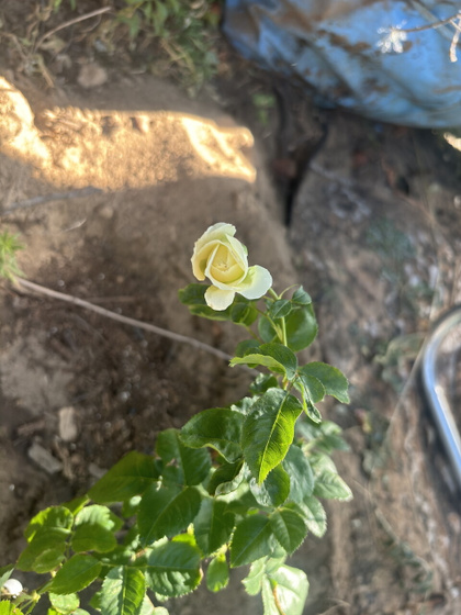 Наши дела делишные🥰
