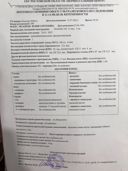 Какой же всё таки срок?🤔