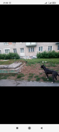 Девочки, добрый вечер!