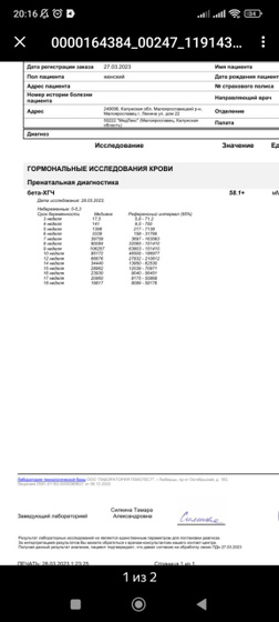 Динамика хгч 11 ДПО