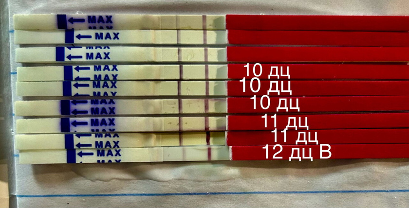 Все с тестами закончила,овуляция прошла ?