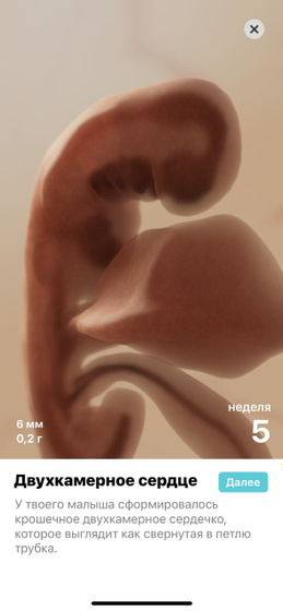 5 неделя ? и ветрянка у доченьки ?