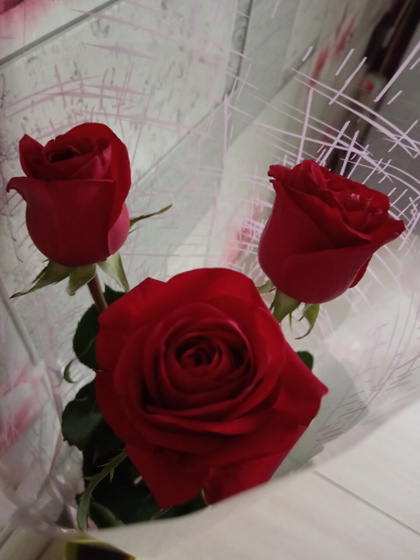 Сегодня мне 37,