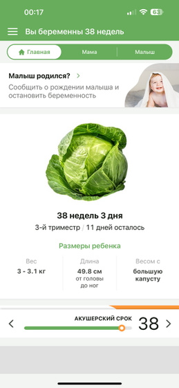 Март ?