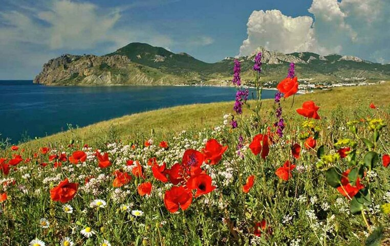 Май, Крым