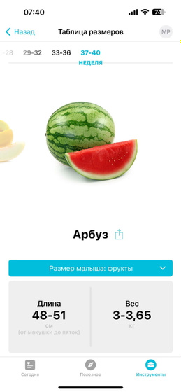 37 неделя