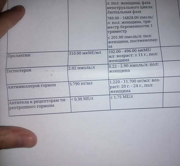 Подошли 6 месяцев к