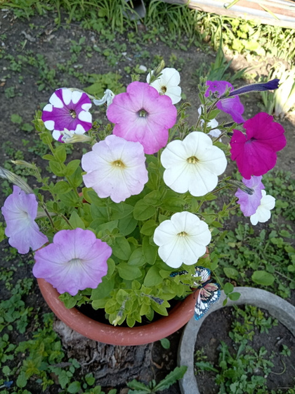 Сегодня мне 37,