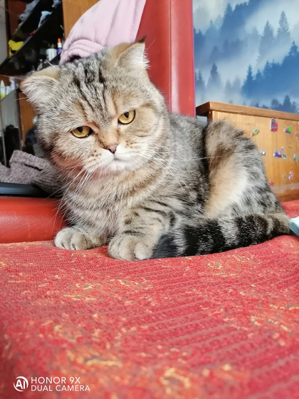 ? ??