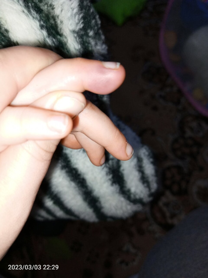 Всем доброй ночи.