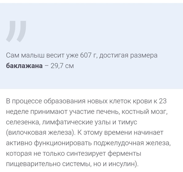 23 неделя беременности ?