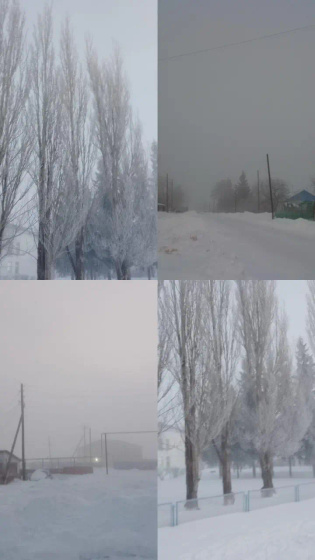 Всё неделю плюсовая. Сегодня -20. Туманно. Красиво. И холодно.