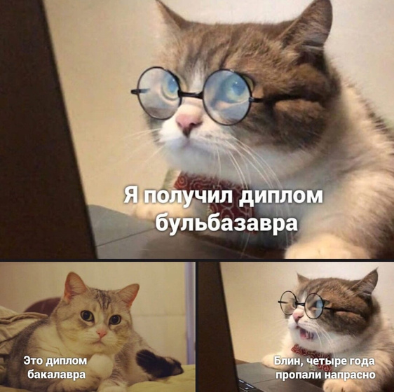 Помогите студенту 🙏🏼