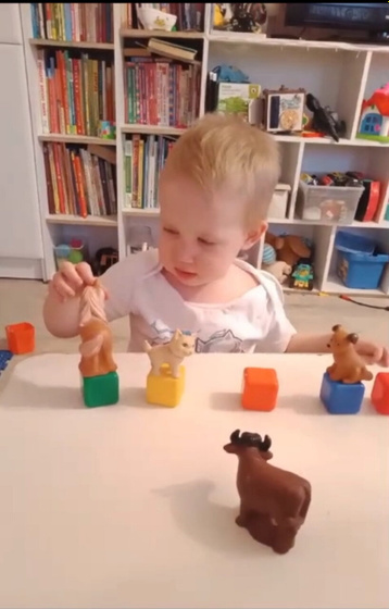 Животные на кубиках🐄