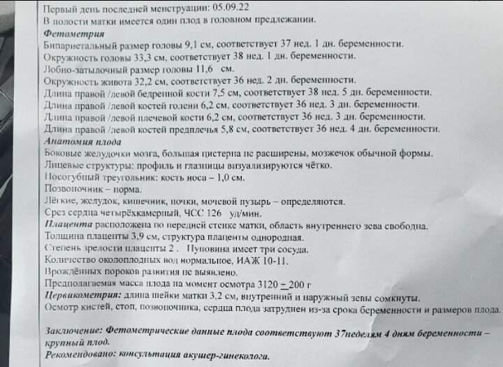 Узи в 35 недель