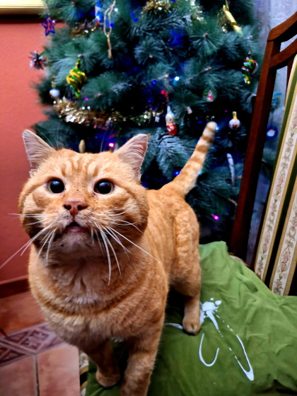 Новый год