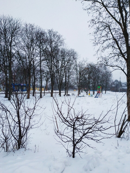 Опять снег ?