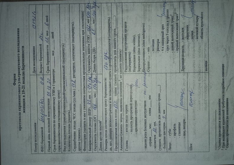 Вчера была на втором УЗИ ?