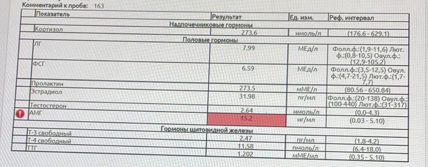 Выский АМГ❗️