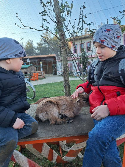 Сегодня посетили птичий рай