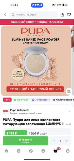 Матирующая пудра пупа