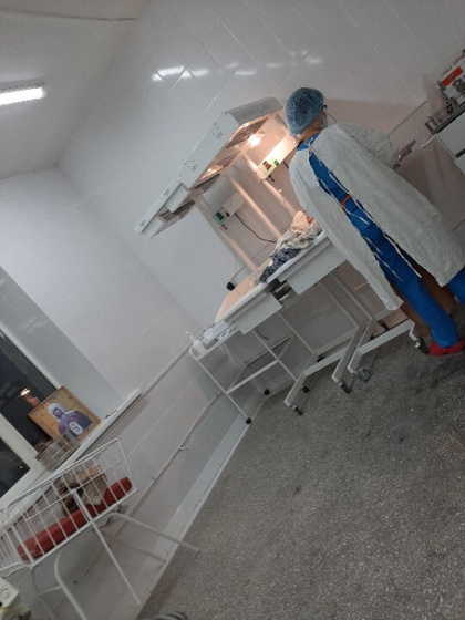 Сынок решил не затягивать
