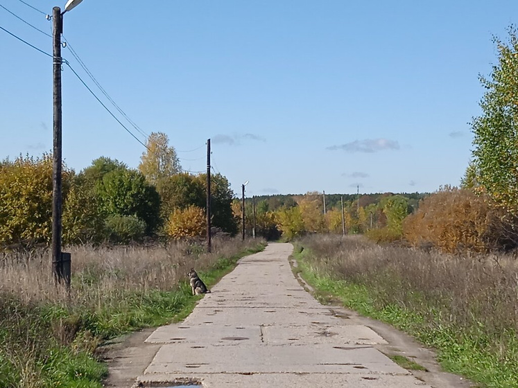 Деревенская осень)