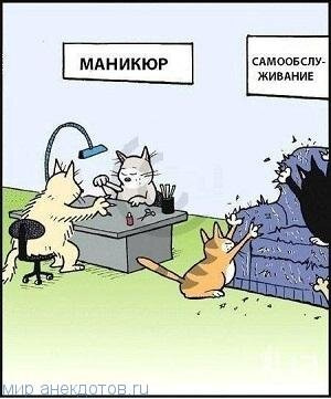 Надо ли стричь домашним котикам когти?